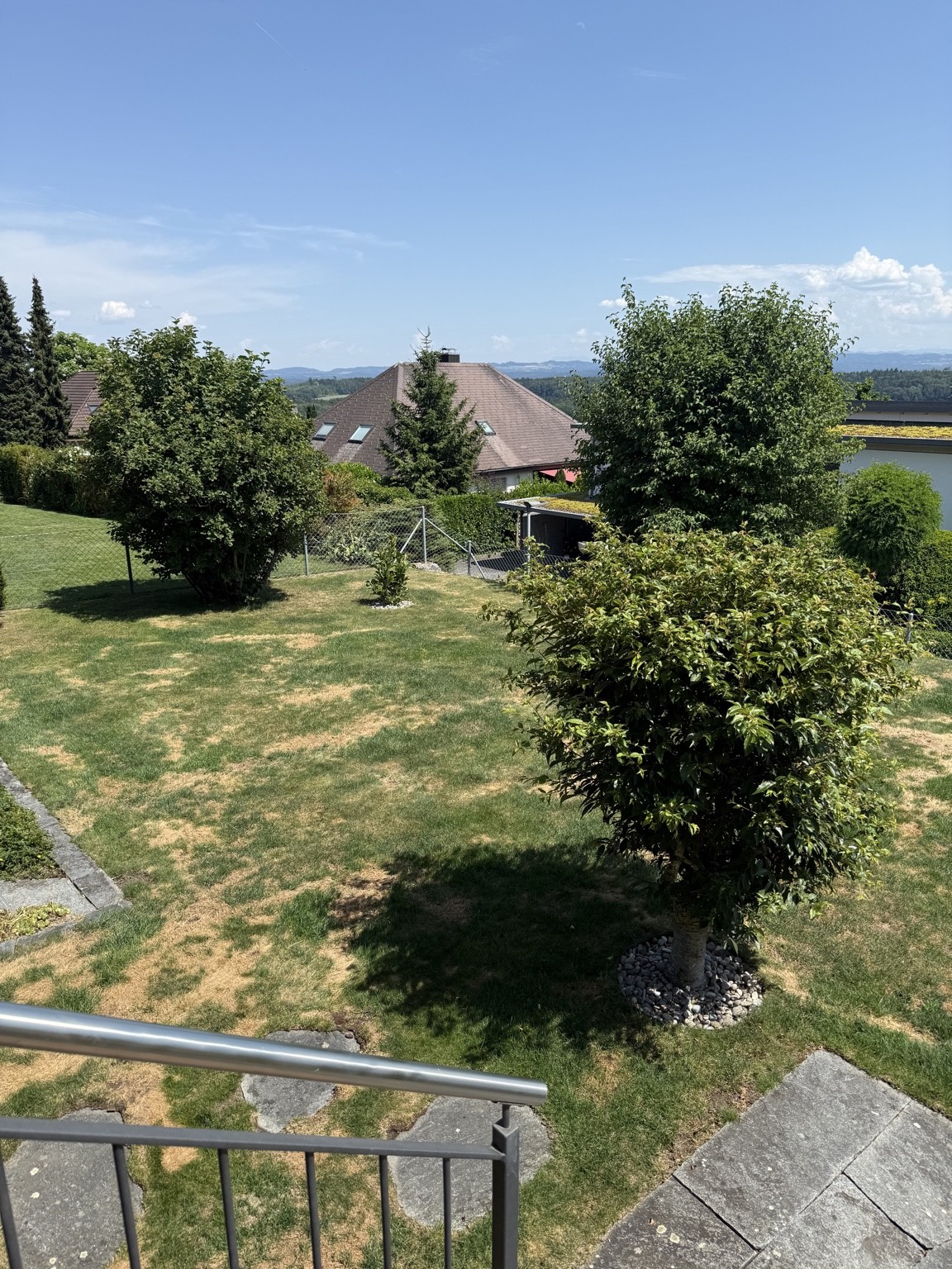 c9548087-64c6-45ee-85a0-c2ea0a00cc59.jpg